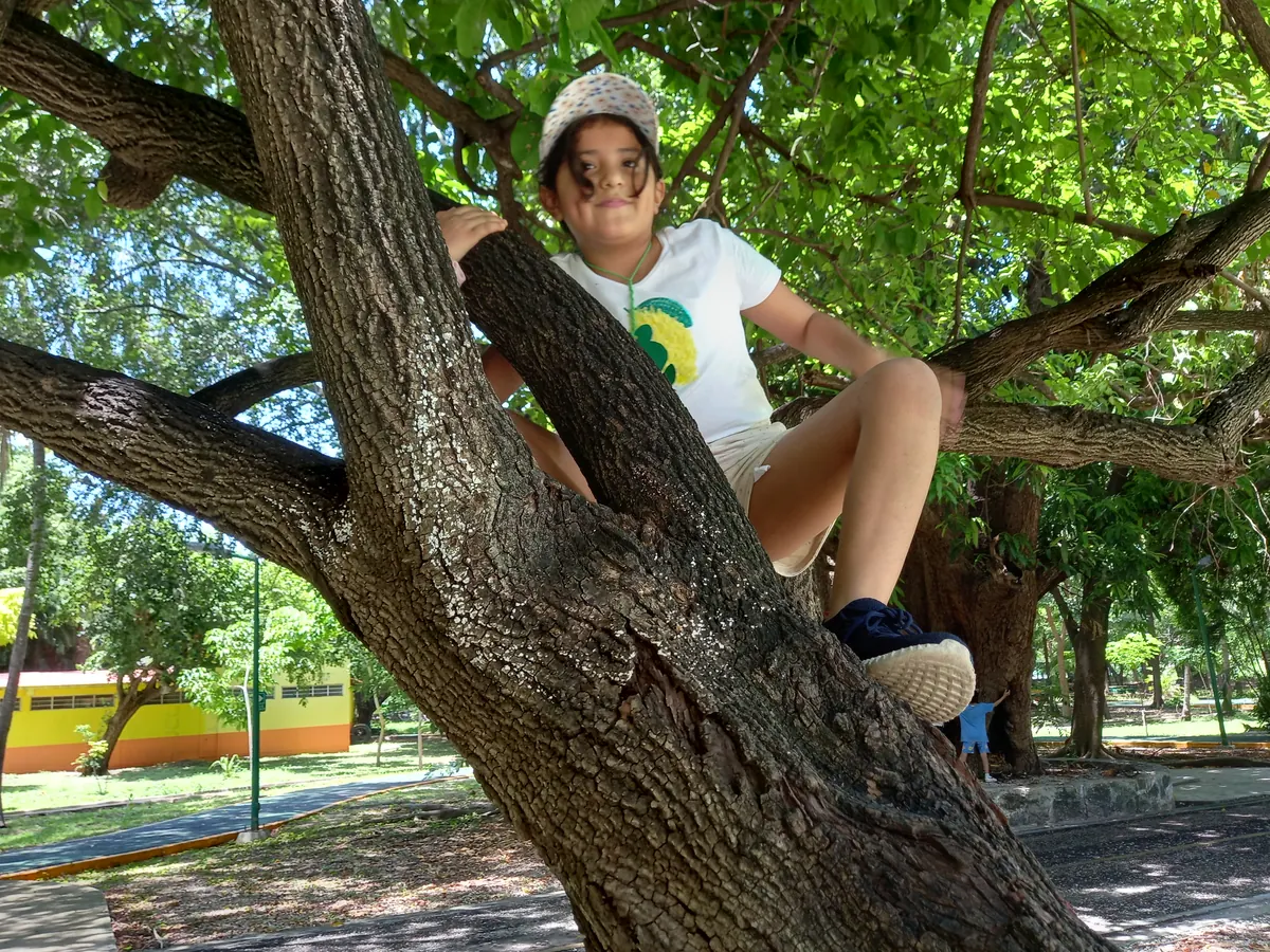 Mundo Consciente 2023 - exploracion arbol comida grupo