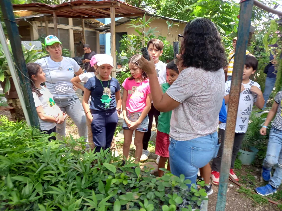 Mundo Consciente 2023 - exploracion arbol comida grupo